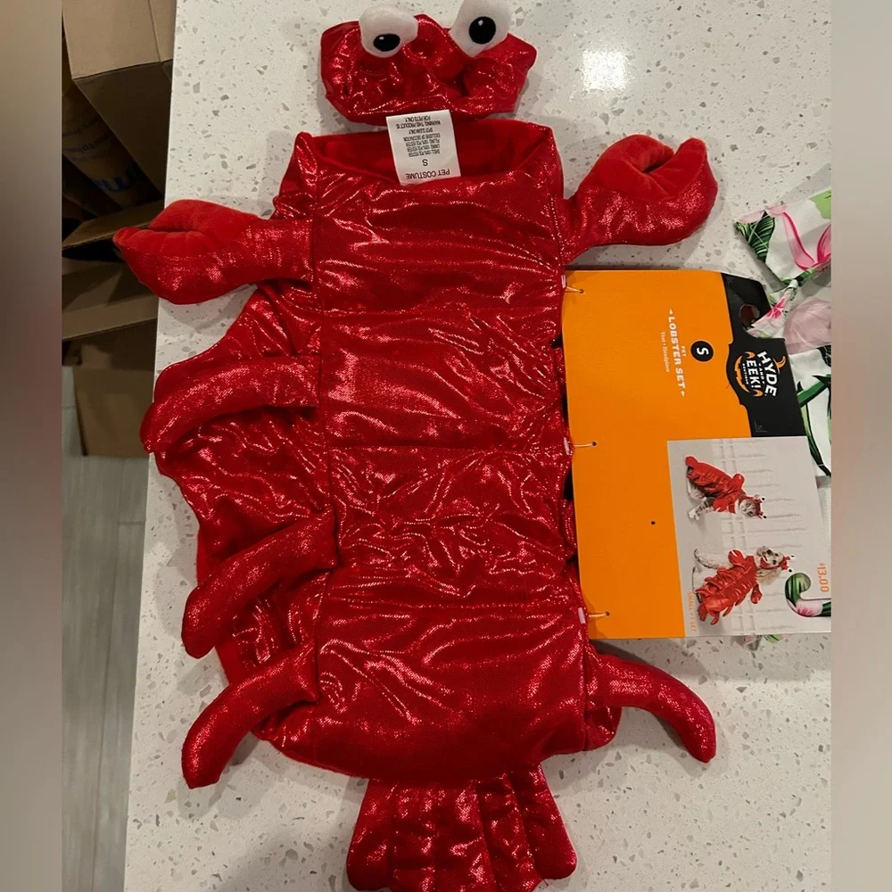 Assorted Cat Halloween Costumes